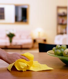 Cleaning Services